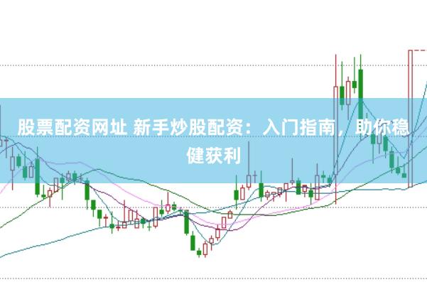 股票配资网址 新手炒股配资：入门指南，助你稳健获利