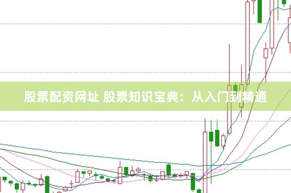 股票配资网址 股票知识宝典：从入门到精通