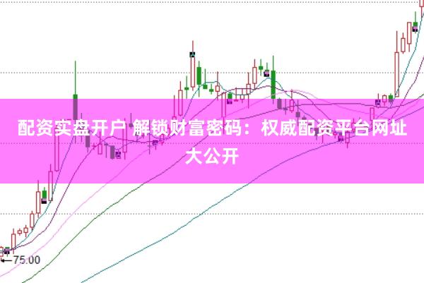 配资实盘开户 解锁财富密码：权威配资平台网址大公开