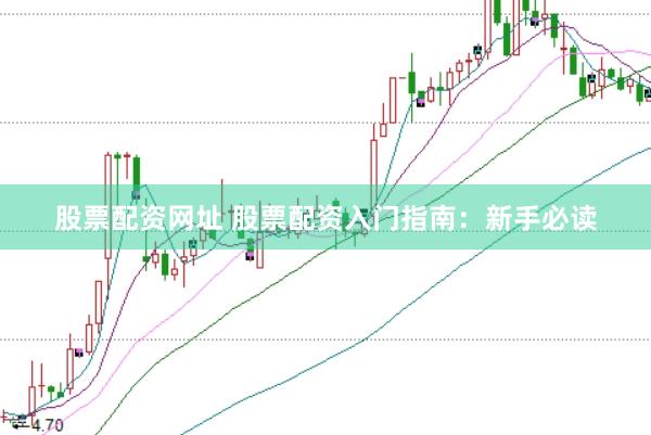 股票配资网址 股票配资入门指南：新手必读