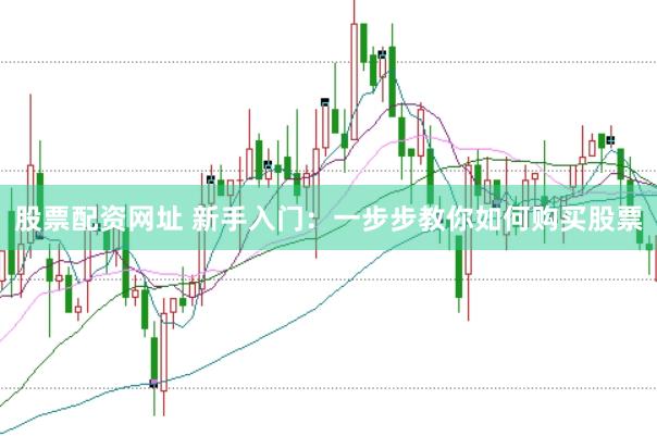 股票配资网址 新手入门：一步步教你如何购买股票