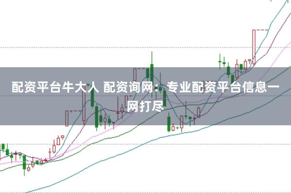 配资平台牛大人 配资询网：专业配资平台信息一网打尽