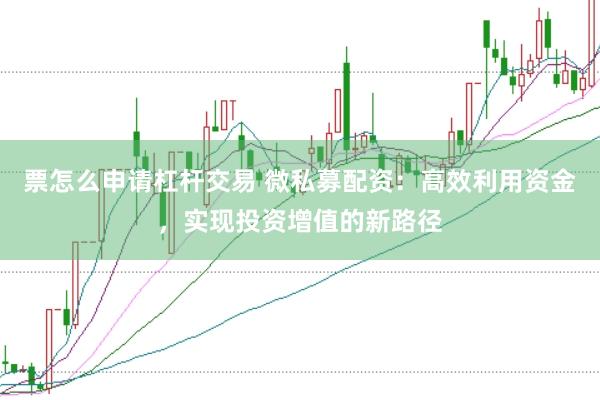 票怎么申请杠杆交易 微私募配资：高效利用资金，实现投资增值的新路径