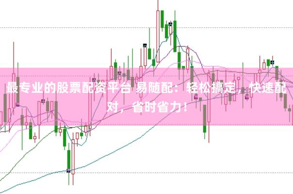 最专业的股票配资平台 易随配：轻松搞定，快速配对，省时省力！
