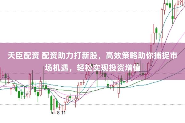 天臣配资 配资助力打新股，高效策略助你捕捉市场机遇，轻松实现投资增值