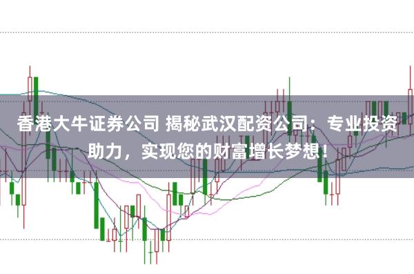 香港大牛证券公司 揭秘武汉配资公司：专业投资助力，实现您的财富增长梦想！