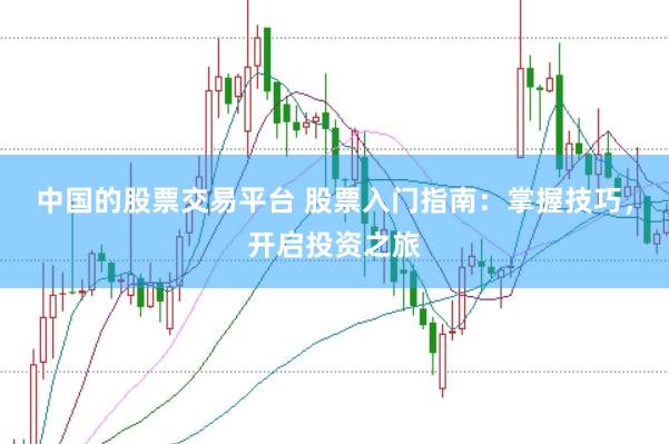 中国的股票交易平台 股票入门指南：掌握技巧，开启投资之旅