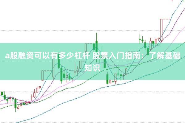 a股融资可以有多少杠杆 股票入门指南：了解基础知识