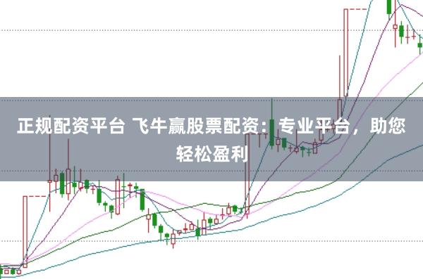 正规配资平台 飞牛赢股票配资：专业平台，助您轻松盈利