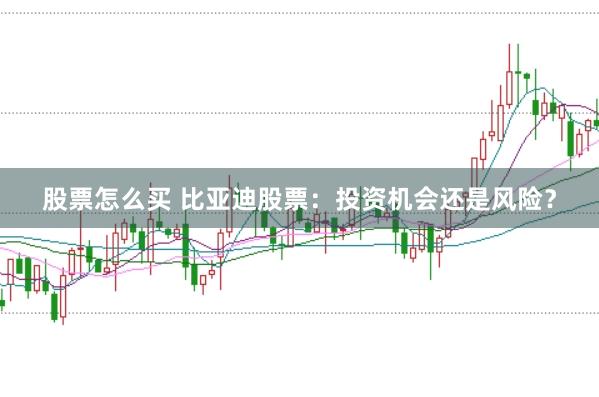 股票怎么买 比亚迪股票：投资机会还是风险？