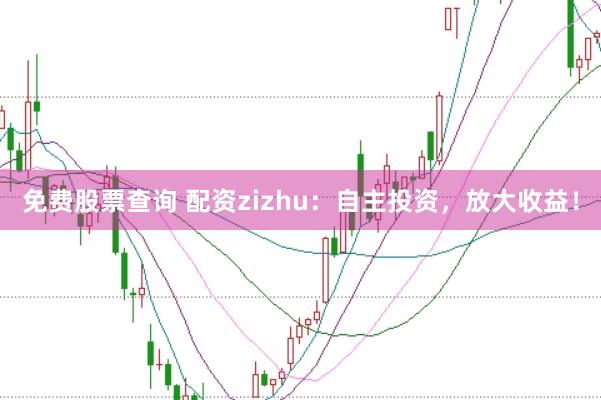 免费股票查询 配资zizhu：自主投资，放大收益！